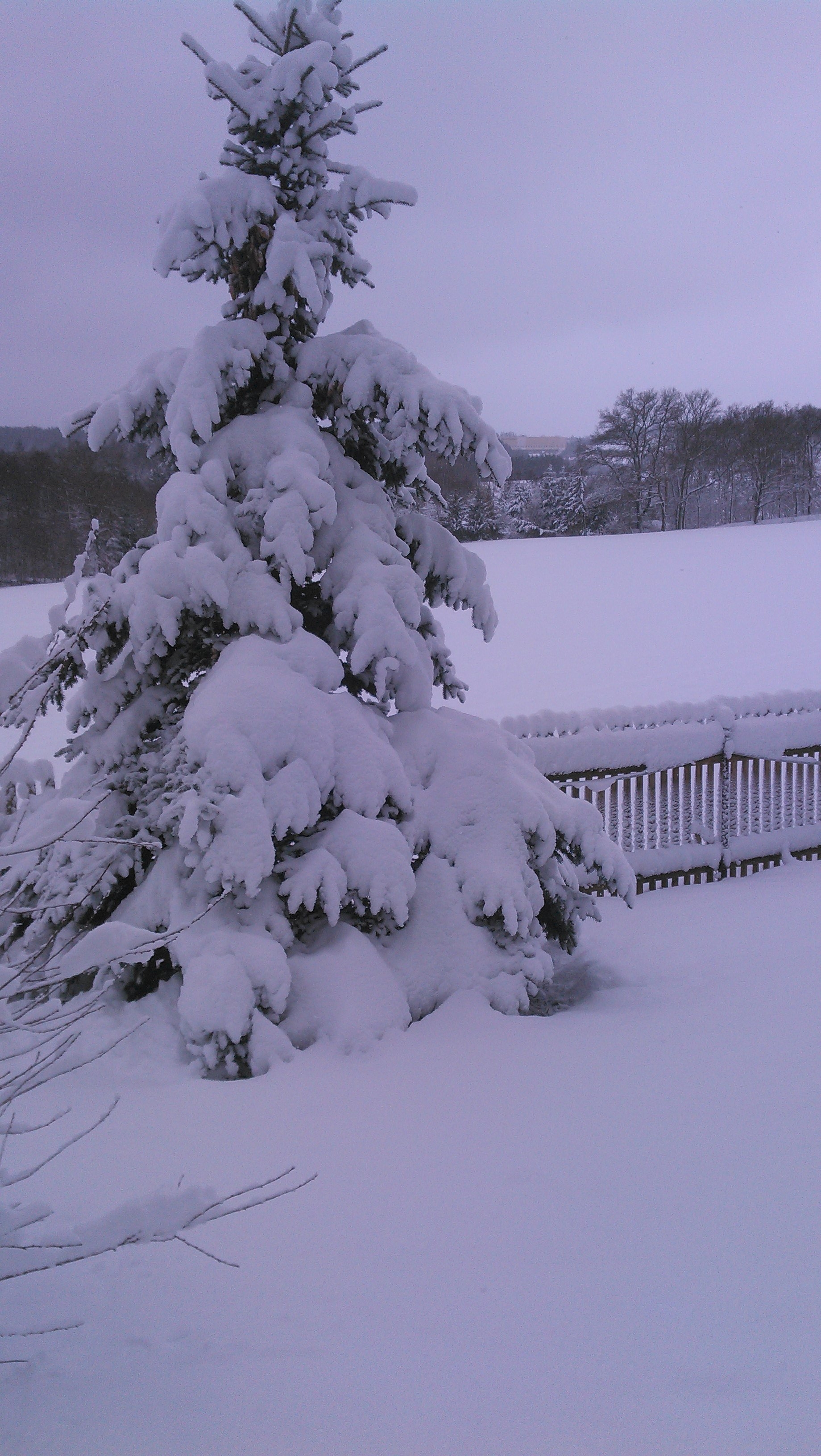 20190110_111524.jpg 20190110_111524.jpg