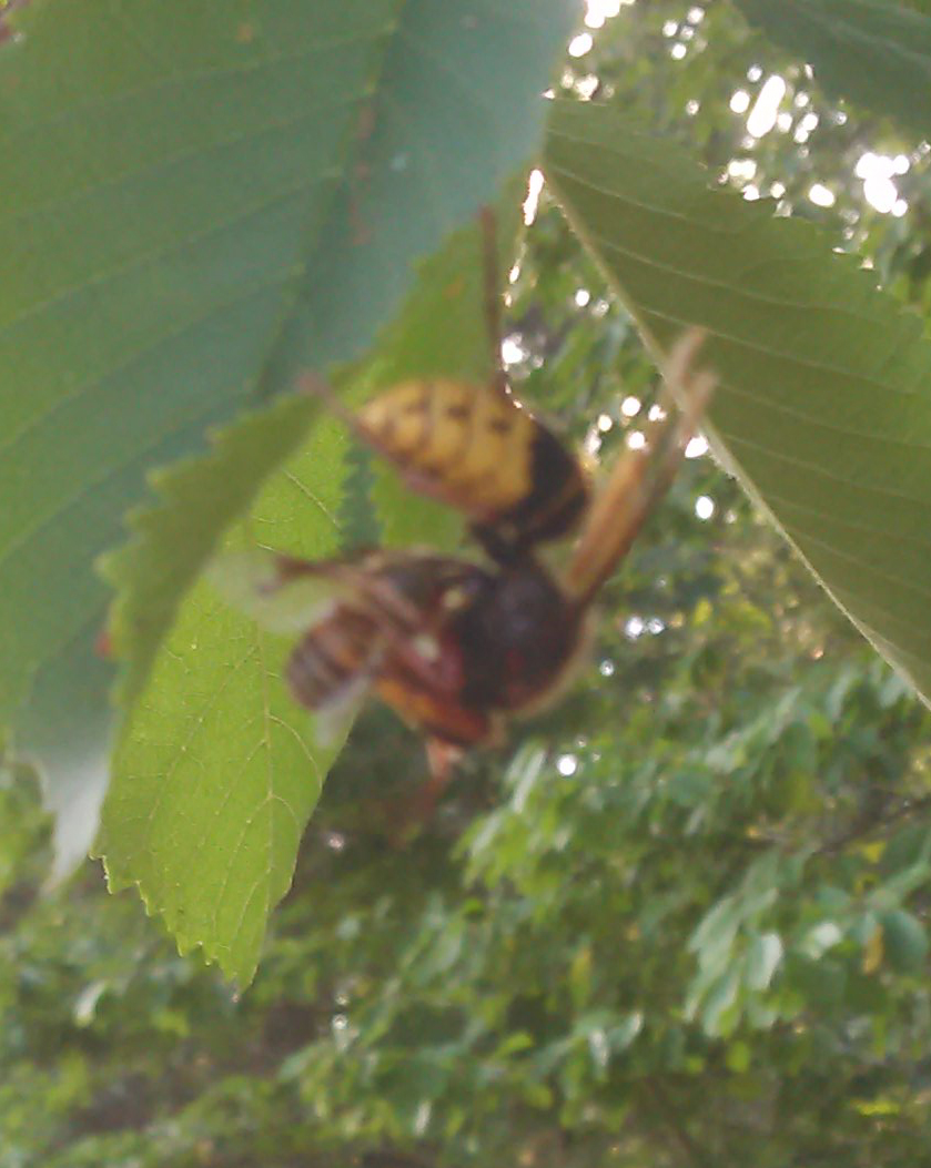 20180722_191533.jpg 20180722_191533.jpg