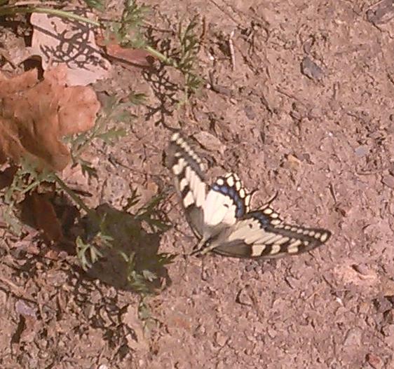 20180826_140444.jpg 20180826_140444.jpg