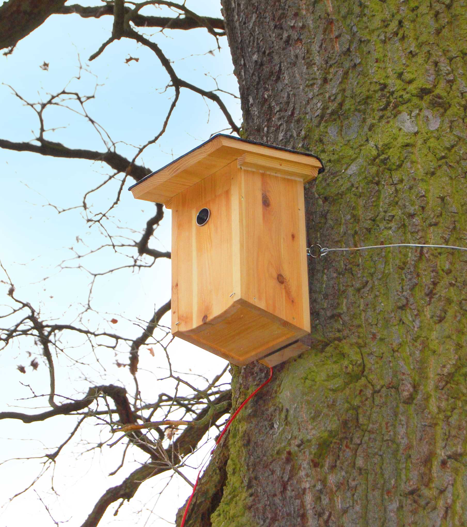 dsc_3878.jpg dsc_3878.jpg