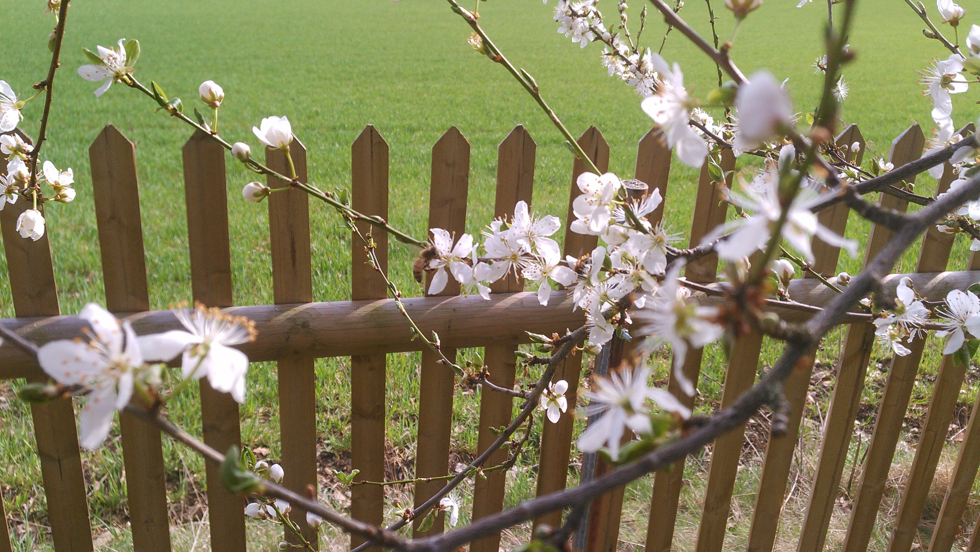 20180413_163654.jpg 20180413_163654.jpg