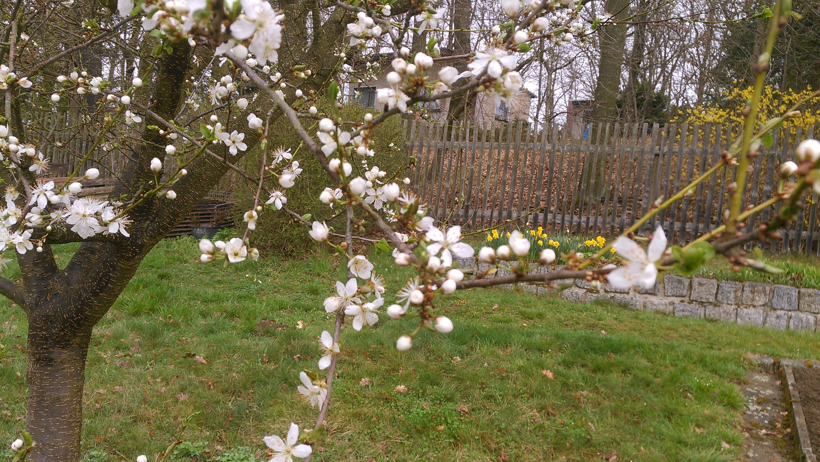20180413_112316.jpg 20180413_112316.jpg