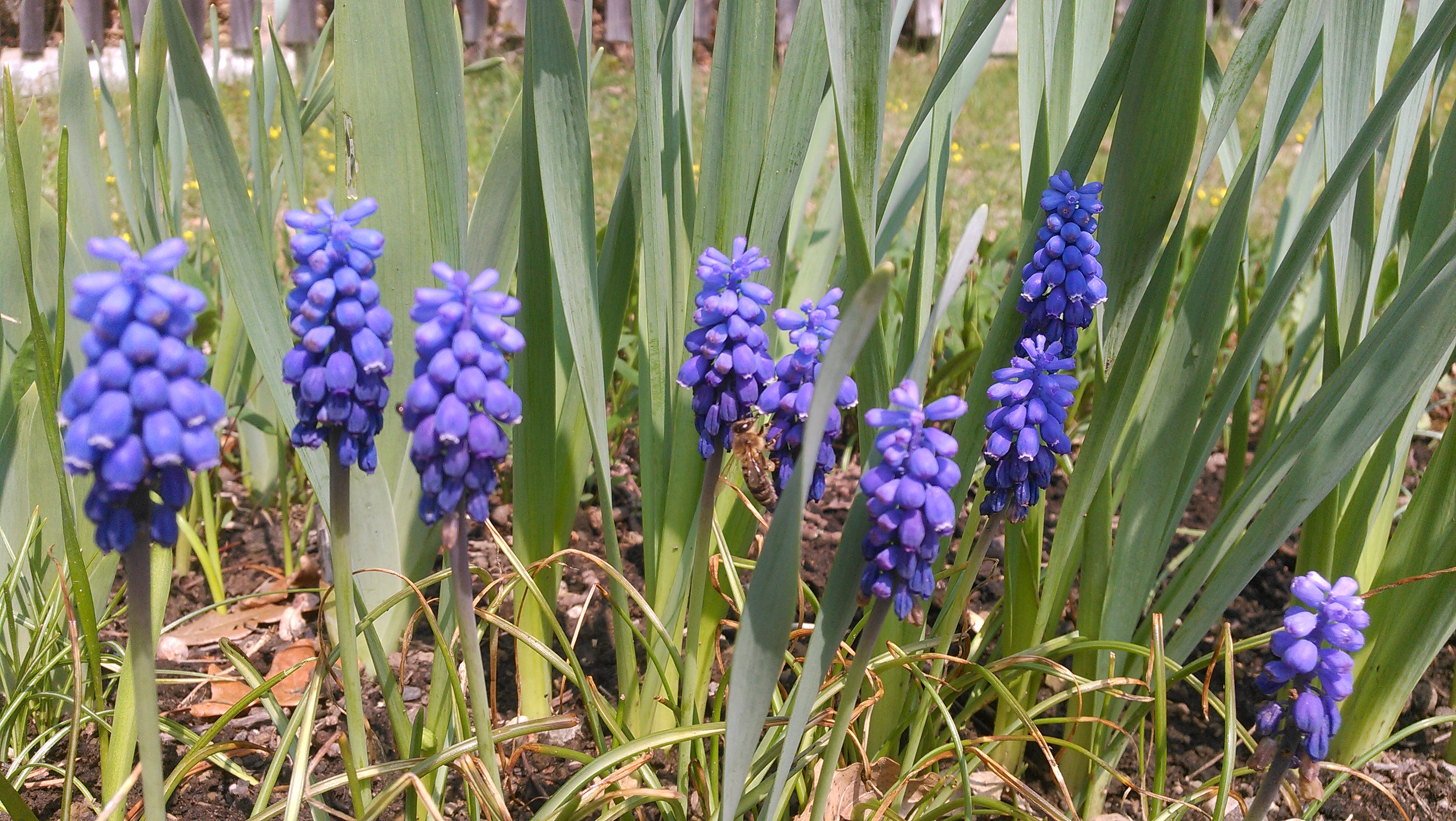 20180417_125946.jpg 20180417_125946.jpg