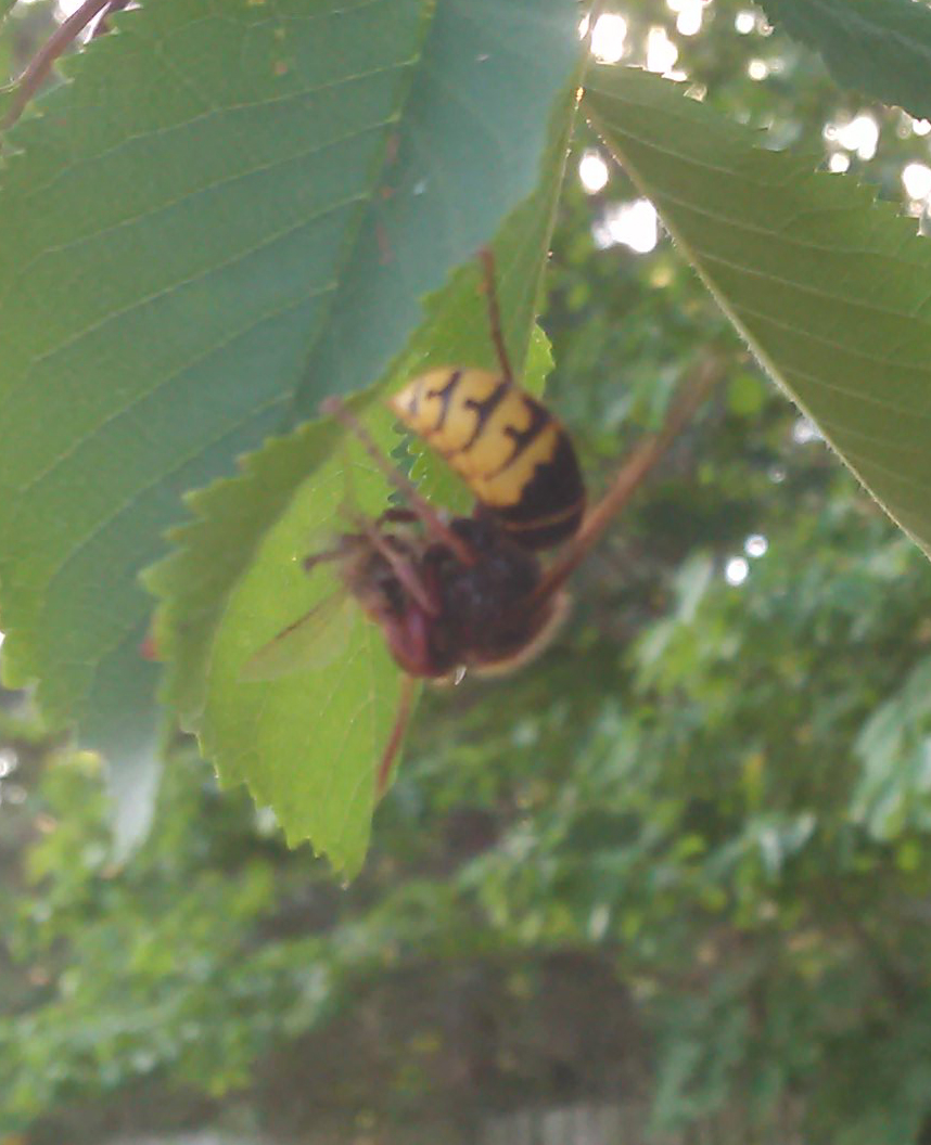 20180722_191544.jpg