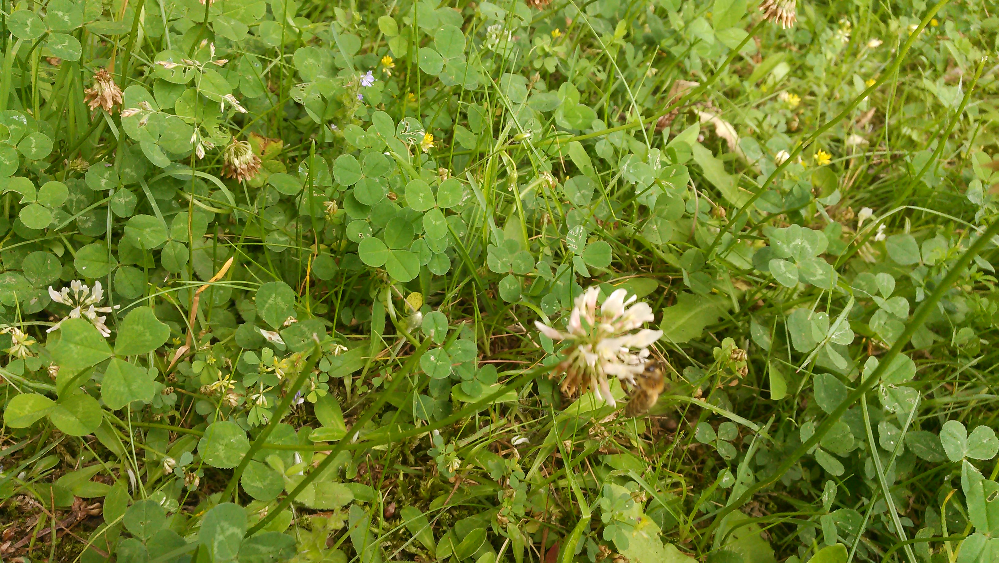 20180607_152644.jpg