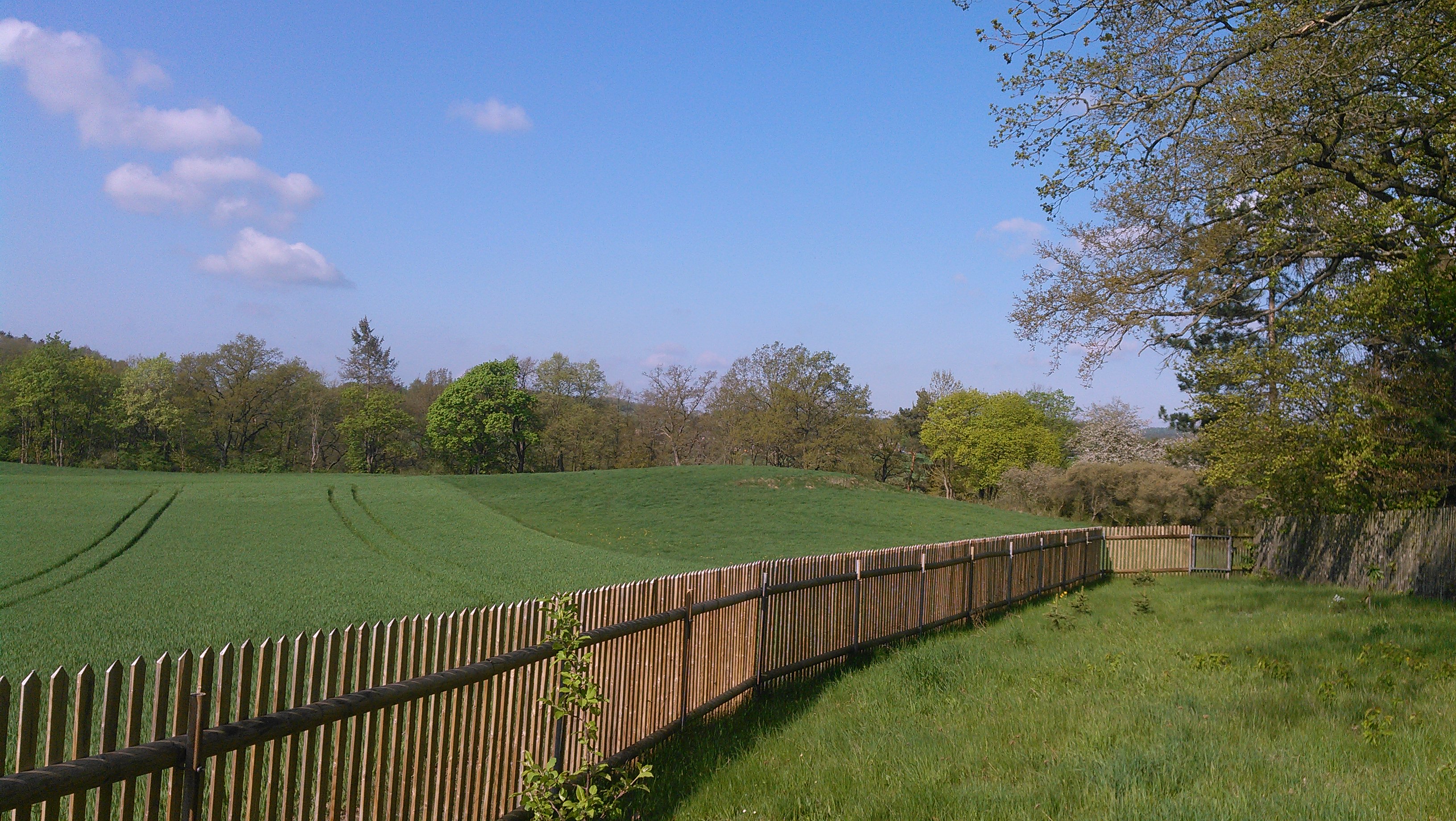20180425_093027.jpg